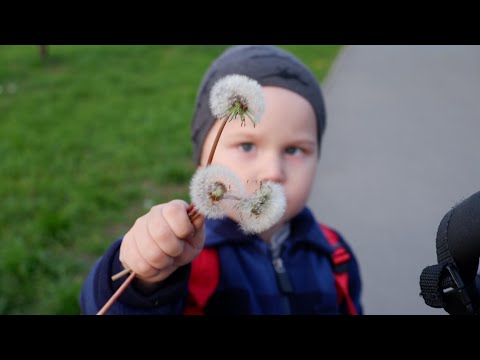 Видео: ВЛОГ НАШИ БУДНИ 🌇 🗓️19 СЕНТЯБРЯ 🍁ПРОГУЛЯЛИСЬ 📷ФРАГМЕНТЫ ИЗ ЖИЗНИ