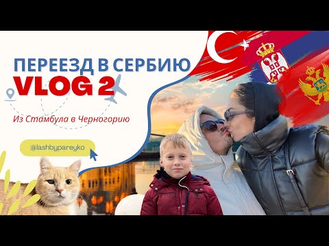 Видео: ПЕРЕЕЗД В СЕРБИЮ, влог 2, Черногория 🇲🇪- БЕЛГРАД (НОВИ-САД)