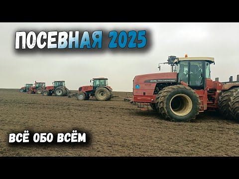 Видео: ПОСЕВНАЯ 2025