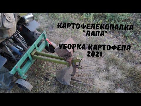 Видео: Картофелекопалка ЛАПА Уборка картофеля 2021