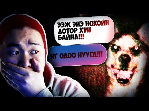 Видео: НОХОЙН ДОТОР ХҮН БАЙНА?... | MYSTERY DOG (PART 1)