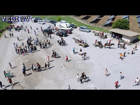 Видео: Състезание с Коне Мини Юри 2025г.