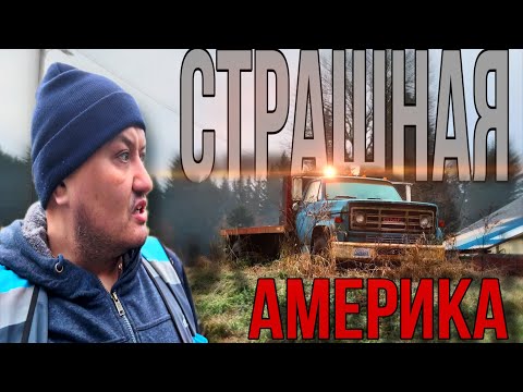 Видео: Страшно в Америке / vlog из Америки / Глубинка США 🇺🇸