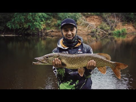 Видео: Трофейная щука. Неожиданная поклёвка, спасшая  рыбалку. Сплав по реке Луга