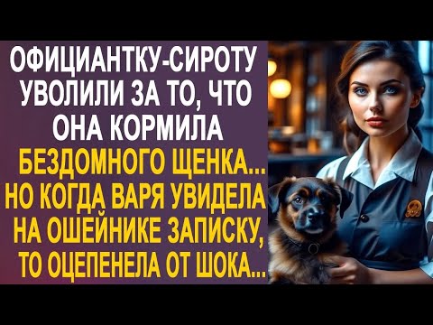 Видео: Официантку сироту уволили из за уличного щенка  Но когда Варя увидела на ошейнике записку