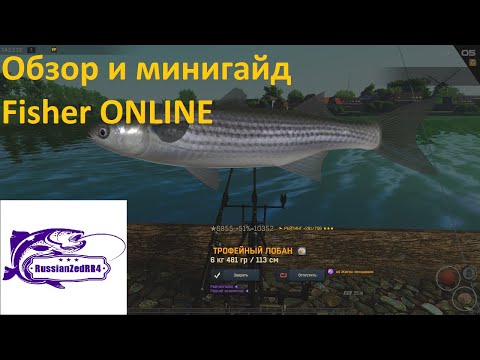 Видео: Обзор Fisher ONLINE+Минигайд