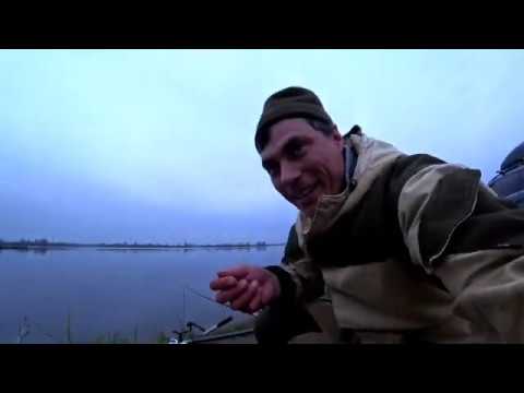 Видео: Рыбалка в кудиново ловим карпа