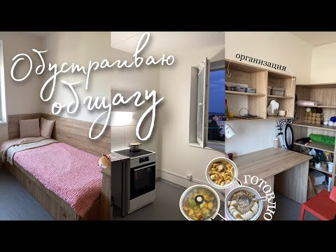 Видео: Обутстраиваю комнату в общаге | организация пространства | румтур