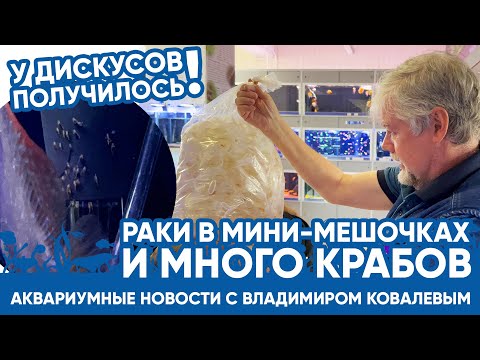 Видео: 🦞 Аквариумные новости с Владимиром Ковалевым (09.06.2023). Раки в мини-мешочках, много крабов.