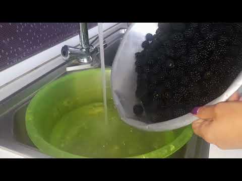 Видео: # մոշի մուրաբա"շատ համեղ"#варенье из ежевики#