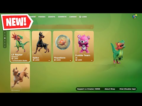 Видео: Fortnite Sidekicks | Цены, дата выхода, анимации и т. д.