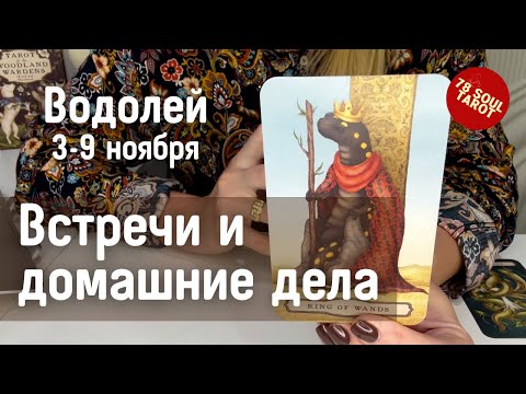 Видео: ВОДОЛЕЙ : Встречи и домашние дела | Неделя 3-9 ноября 2025 таро прогноз