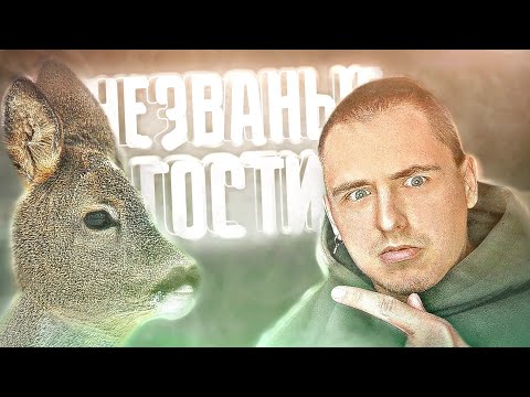 Видео: Я один дома и КТО-ТО ПРИШЁЛ В ГОСТИ.. 