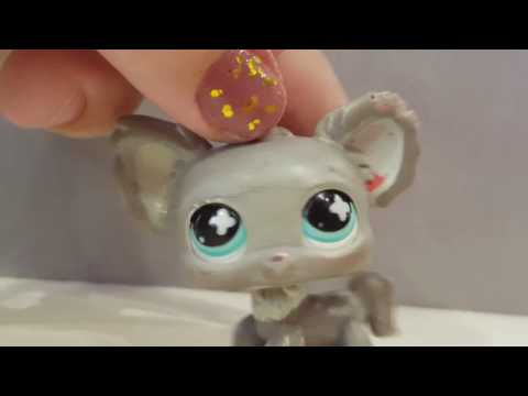 Видео: Проблемы с шарниром у пета | СЛОМАЛСЯ ШАРНИР?|  проблемы встречающинющеся у LPS с шарнирами