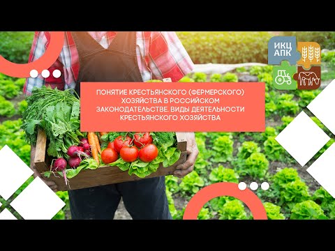 Видео: Запись семинара  от 24 июля 2024 года