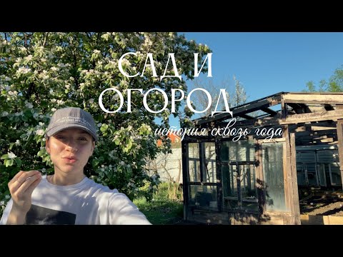 Видео: Превращение сада за 5 лет/любовь к растениям и природе🌱