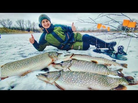Видео: ВОТ ЭТО МОНСТРЫ! НА 3-ий ДЕНЬ ПОПЕРЛО! Зимняя рыбалка 2025.