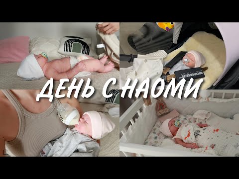 Видео: НЕДЕЛЯ ВЛОГОВ ДЕНЬ2 И ДЕНЬ3 С НАОМИ