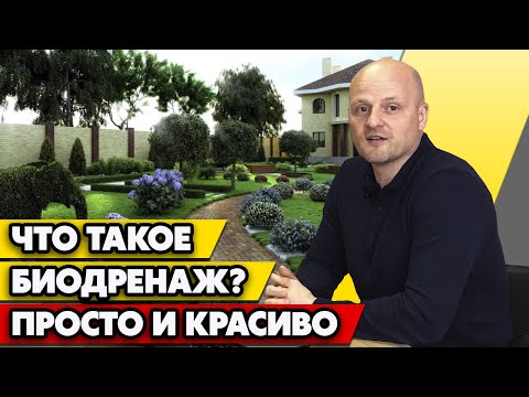 Видео: КОНЕЦ болоту на участке! / Биодренаж. Как осушить участок от грунтовых вод?