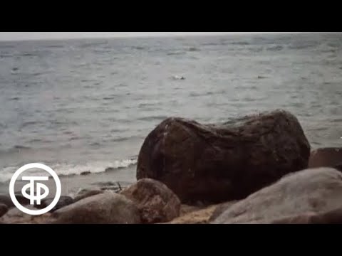 Видео: Знакомимся с Советским Союзом. Телекурс русского языка. Урок 8. Музыкальная Латвия (1986)