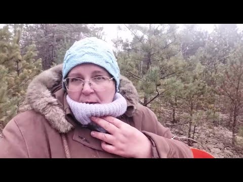 Видео: В ЛЕС ПО ГРИБЫ В НОЯБРЕ