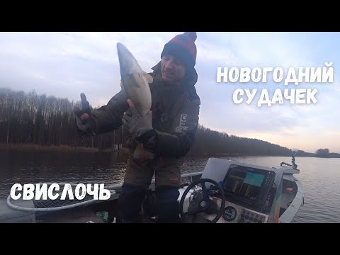 Видео: Предновогодняя рыбалка! Сазан, судак! Джиг на реке!