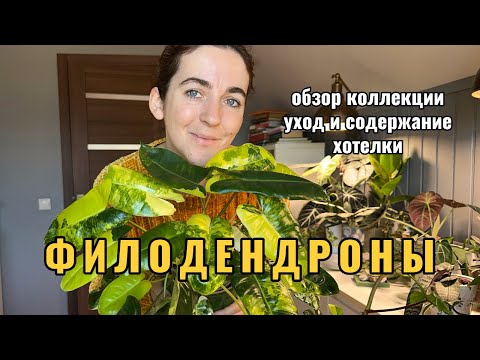 Видео: Моя коллекция филодендронов: обзор, уход и содержание, виш-лист.