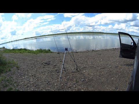 Видео: спиннинг с берега на реке Томь в июле 2025