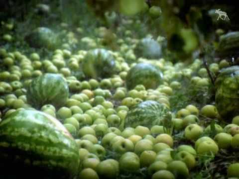 Видео: "земля" александра довженко_проект "до встречи"