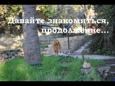 Видео: Давайте знакомиться, продолжение | О моей жизни в кибуце | Где я работаю | Прогулка по кибуцу
