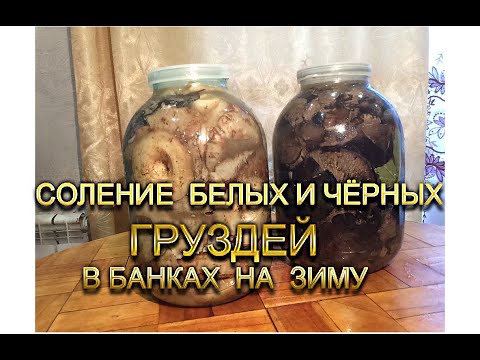 Видео: Соление белых и чёрных груздей в банках на зиму