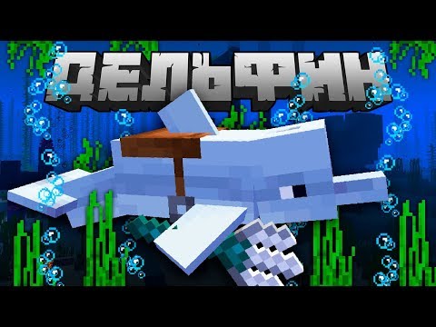 Видео: Дельфин! Все что нужно знать | Майнкрафт Открытия Мобы