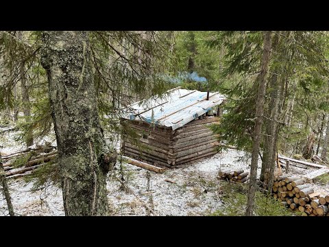 Видео: СДЕЛАЛИ ДРОВЕНИК, ПРИШЁЛ ПЕШКОМ И ЗАНОЧЕВАЛ В ИЗБУШКЕ