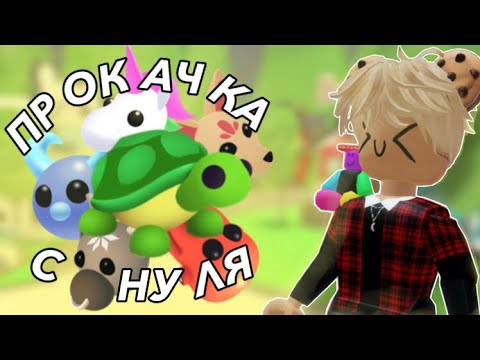 Видео: ПРОКАЧАЛ НУЛЕВОЙ АККАУНТ В АДОПТ МИ! КАК ПОЛУЧИТЬ ЧЕРЕПАХУ С НУЛЯ В ADOPT ME 1 ЧАСТЬ