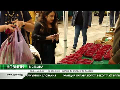 Видео: Ягоди, малини и боровинки – хит на фермерските пазари