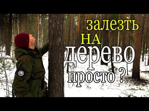 Видео: КАК залезть на дерево. climb a tree.