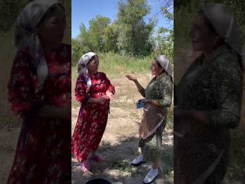 Видео: Қос келін 9-бөлім