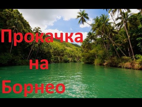 Видео: Русская рыбалка 3.99 | Прокачка на Борнео