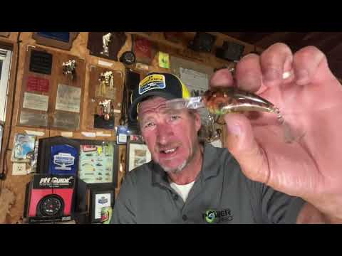 Видео: Как я их поймал в Булл-Шолс.