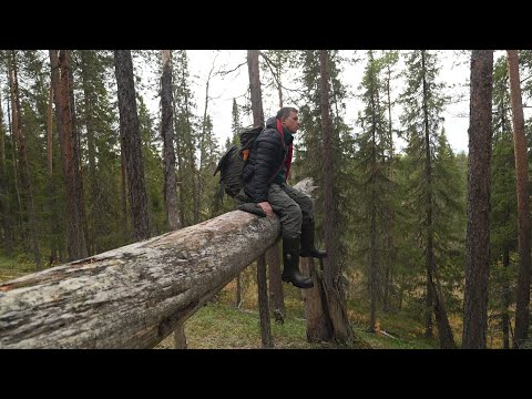 Видео: Стройка . Пеший поход на таёжную речку.