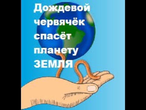 Видео: БН 14  октябрь 2023г в балагане до сих пор помидоры, огурцы, дыни и арбузы.