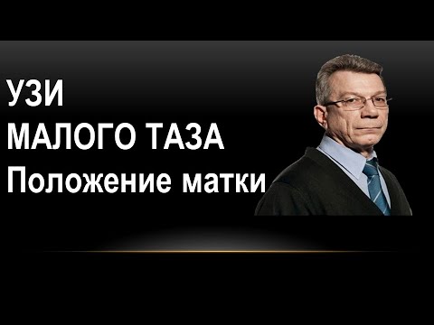 Видео: УЗИ органов малого таза: положения матки