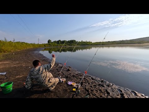 Видео: ОТЛИЧНАЯ РЫБАЛКА С ЖЕНОЙ НА КРОКОДИЛЫ. КЛЮЮТ КРУПНЫЕ КАРАСИ. РЫБАЛКА 2024. РЫБАЛКА НА ФИДЕР. ДОНКИ.