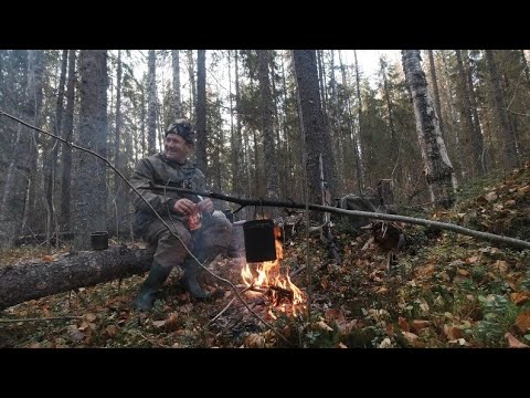 Видео: ОХОТА НА РЯБЧИКА С ИЖ 27, НА ТРОПЕ МЕДВЕДЕЙ, ЛОСЕЙ, КАБАНОВ!