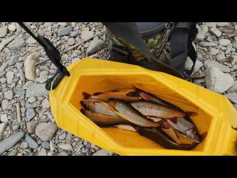 Видео: р. Уссури, верховья. посёлок Бреевка.