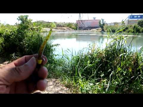 Видео: Жарко на рыбалке, от Пал Палыча 28 08 23