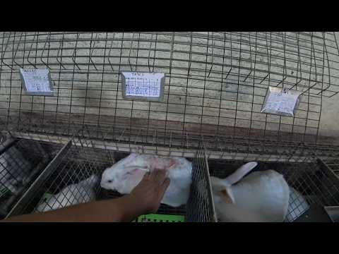 Видео: ЗАЧЕМ ВЫ ЭТО ПИШИТЕ?