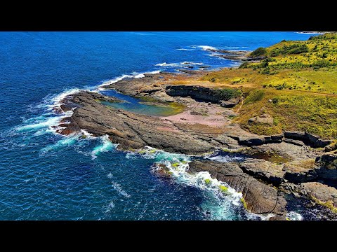 Видео: Град Царево. Плаж "Феникс" - обзор на лагуната и морското дъно + въпрос с награда + 60 снимки.