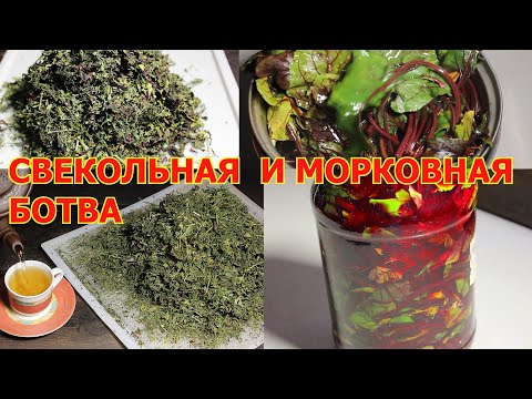 Видео: Ботву не выбрасываю! Как запасать ботву моркови и свеклы на зиму. Способы! Вершки и корешки.