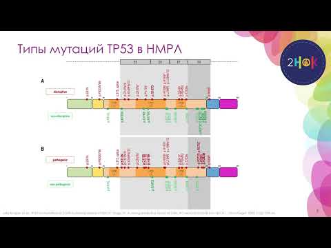 Видео: Мутационный ландшафт НМРЛ, проблемы чувствительности и резистентности к таргетной и иммунотерапии